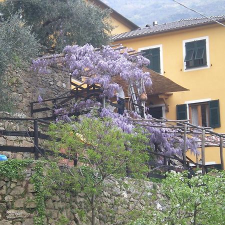 Agriturismo Il Sogno Lorsica 외부 사진